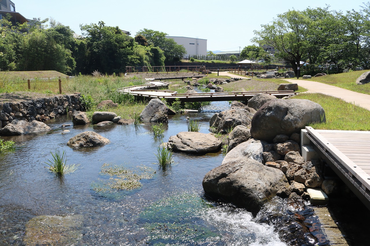 清住緑地