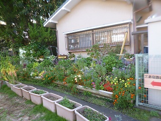 加屋町さくら会２