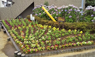 富田町美化友の会