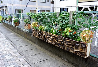 ムーミン谷の広小路