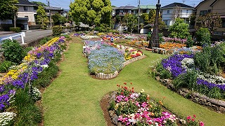 東大場町内会花の会