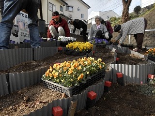 千寿会３植え替え