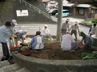 千寿会５植え替え