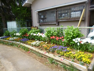 加屋町さくら会花壇