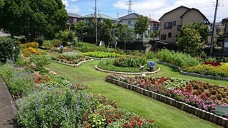 三島市東大場花の会３