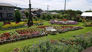 三島市東大場花の会２