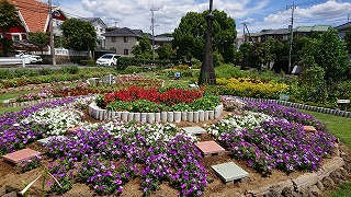 三島市東大場花の会