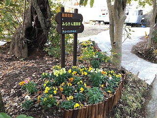 みらけん園芸部