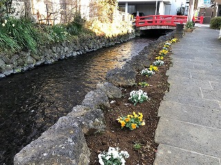 赤橋花壇