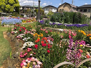 東大場花の会2021花壇コンクール