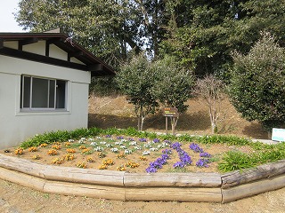 山中城跡花のおもてなしの会