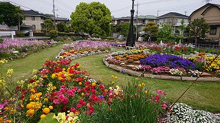 20230419春の花壇（東大場花の会）