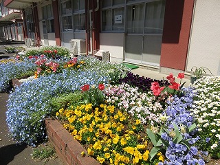 花コン５　北中学校