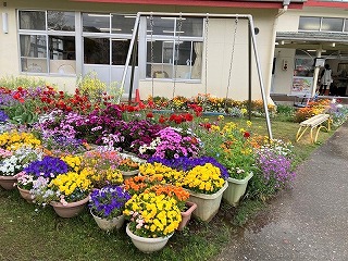 花コン６　松本幼稚園