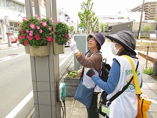 2024年4月25日　花サポ管理作業1