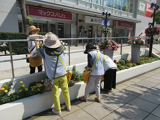 2024年8月5日　花サポ管理作業2