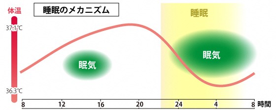 睡眠のメカニズム