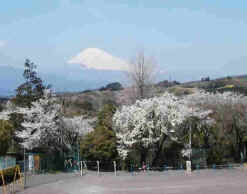 坂小学校校庭