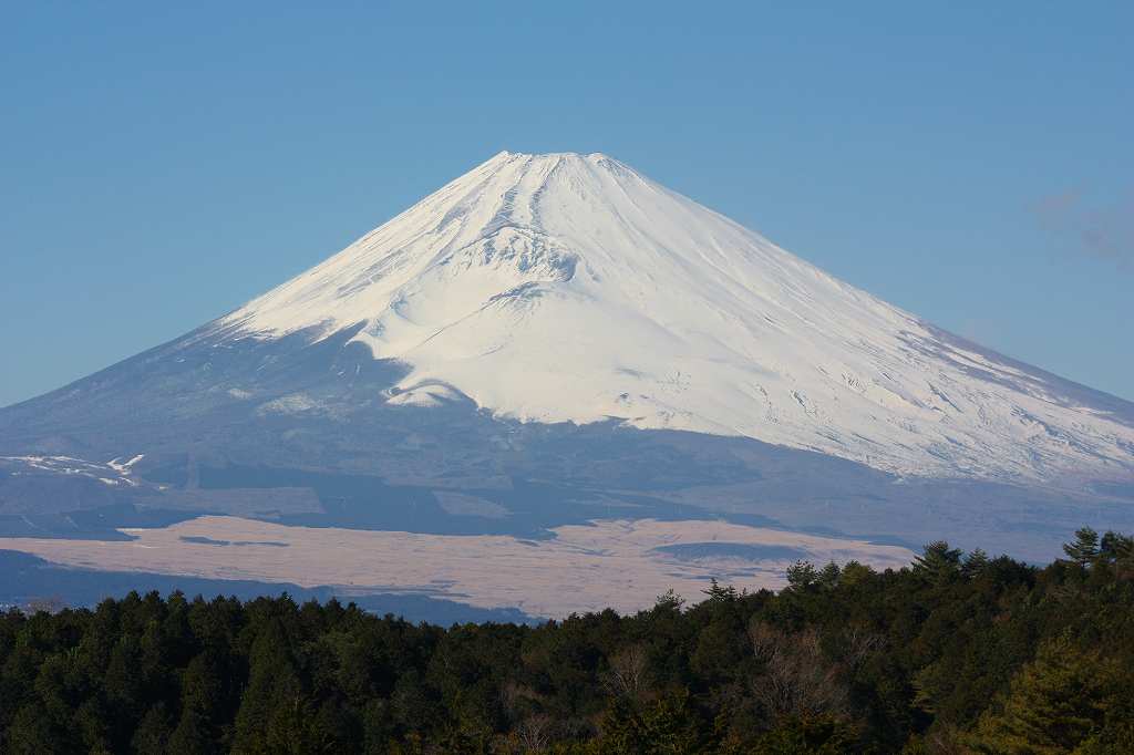 富士山