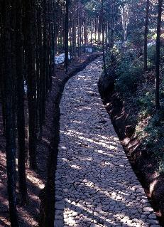 箱根旧街道遺跡の石畳