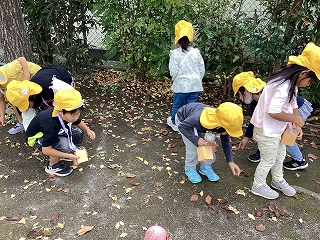 写真：どんぐり拾い