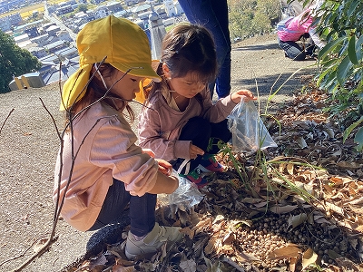 写真：隣のお寺でドングリ拾い