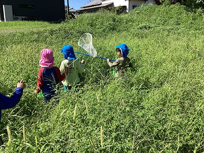 写真：虫捕り