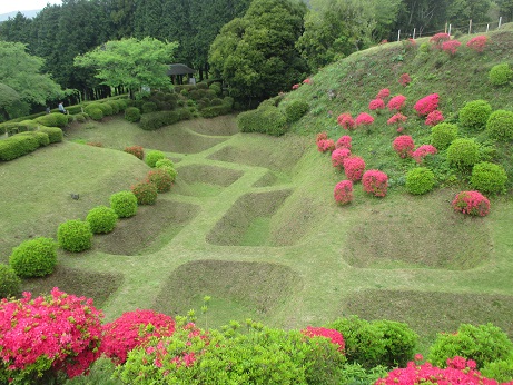 西ノ丸北側障子堀とツツジ（4月下旬～5月上旬）