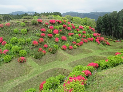 山中城跡2