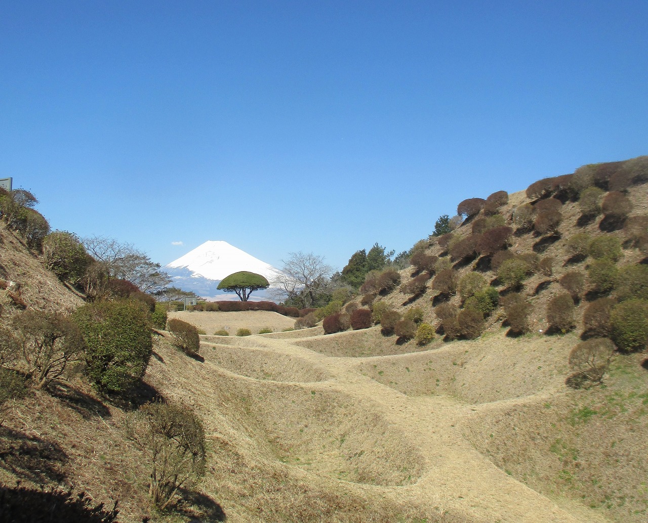 山中城跡