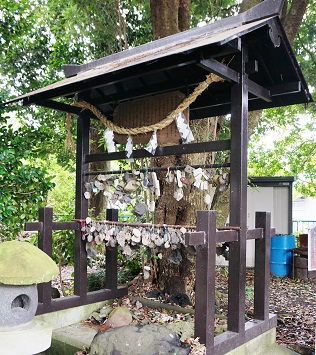 耳石神社小石