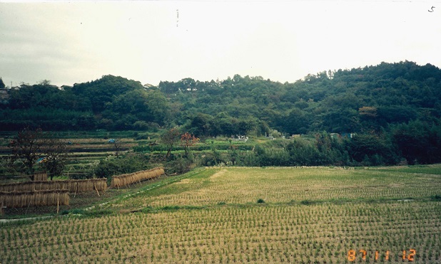 八幡神社からみた壱町田（1987年撮影）