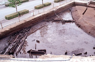 発掘された水田跡（西大久保遺跡）