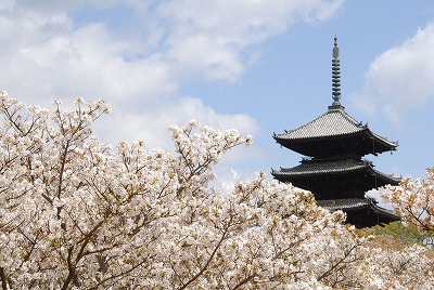 彰仁親王が若き日を過ごした仁和寺（画像提供：総本山仁和寺）