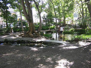 白滝公園の写真1