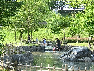 上岩崎公園の写真1