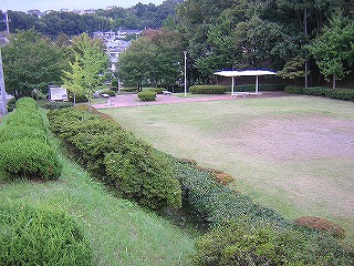 かも公園の写真3