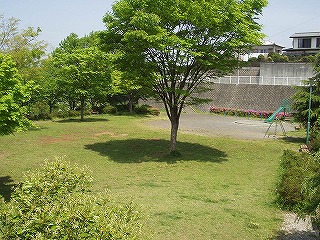 みどり野公園の写真1