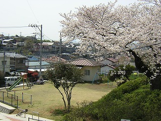 若松公園の写真1